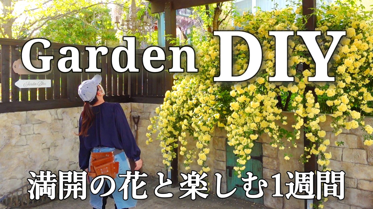 【庭DIY】モッコウバラが咲く庭で｜看板・装飾・ガーデンゲート