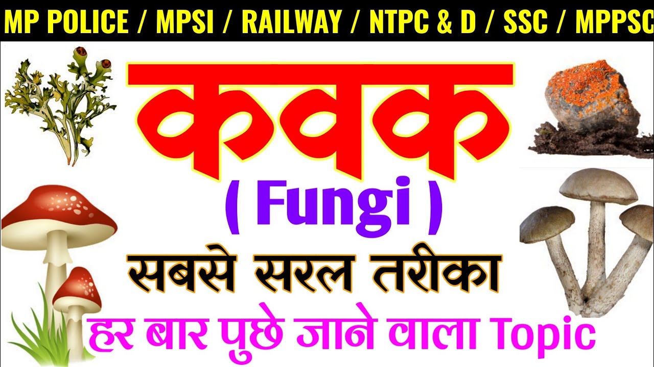 कवक | Fungi | Biology | Science Gk | जीवविजॠञान | kavak in Hindi