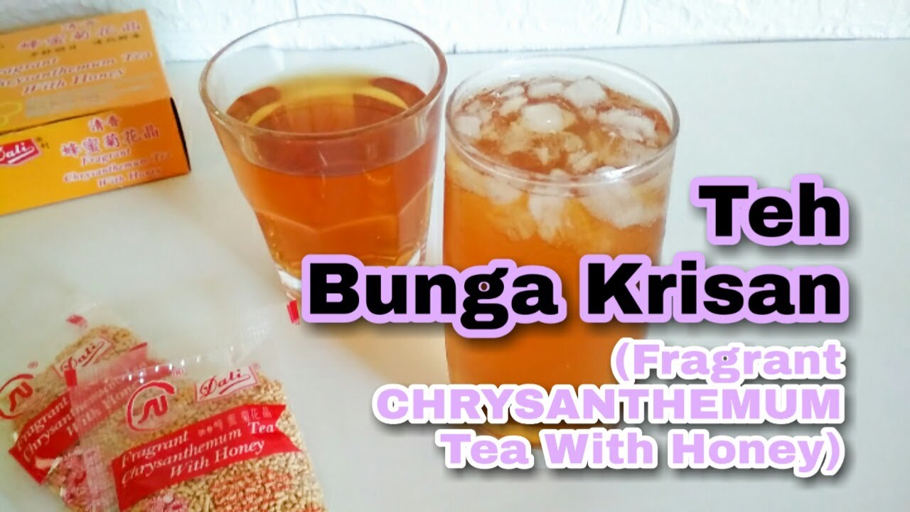 Membuat Teh Herbal Bunga Krisan untuk Kesehatan - YouTube