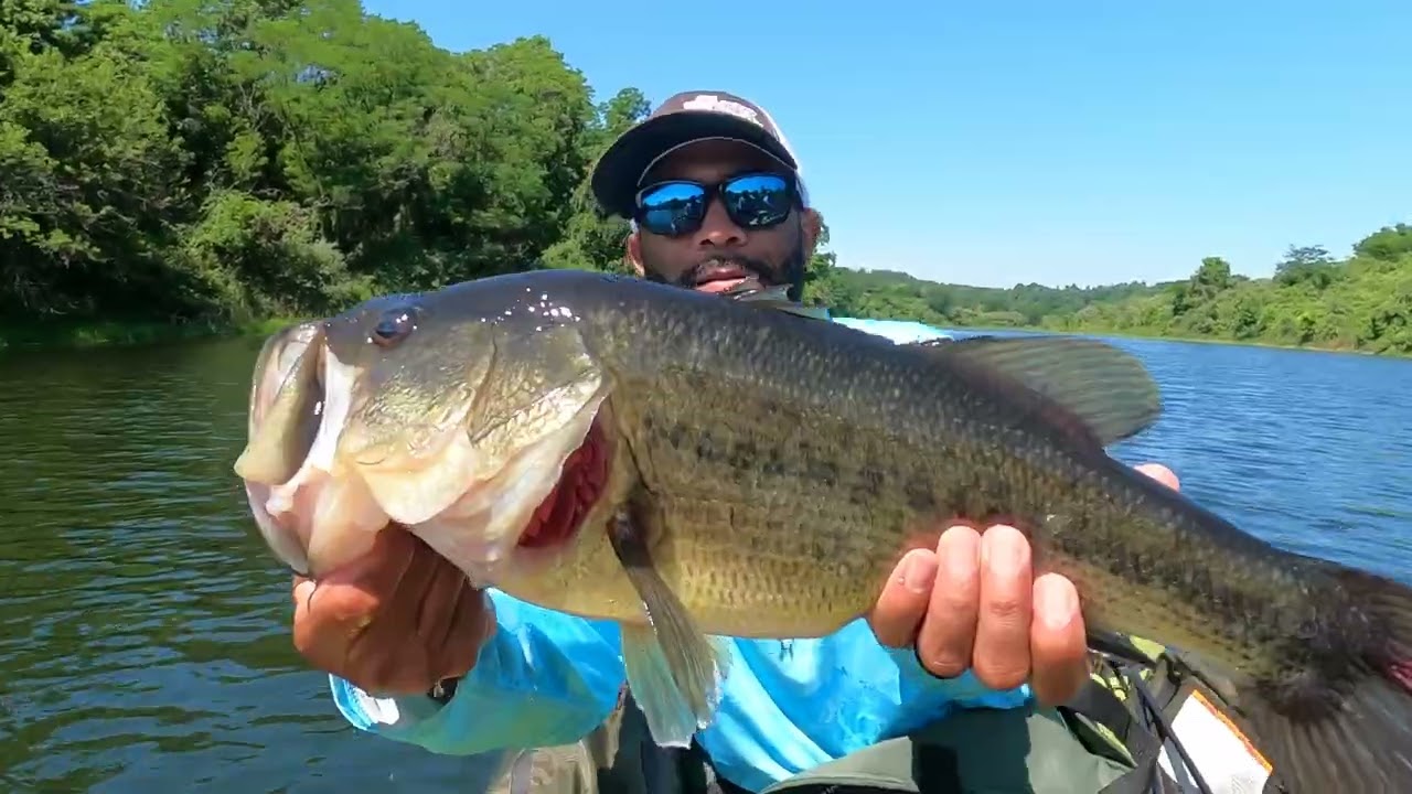 Summertime Bass Fishing Highlights