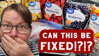 When Dehydrating Frozen Fruit Goes Wrong  and How to Fix it!