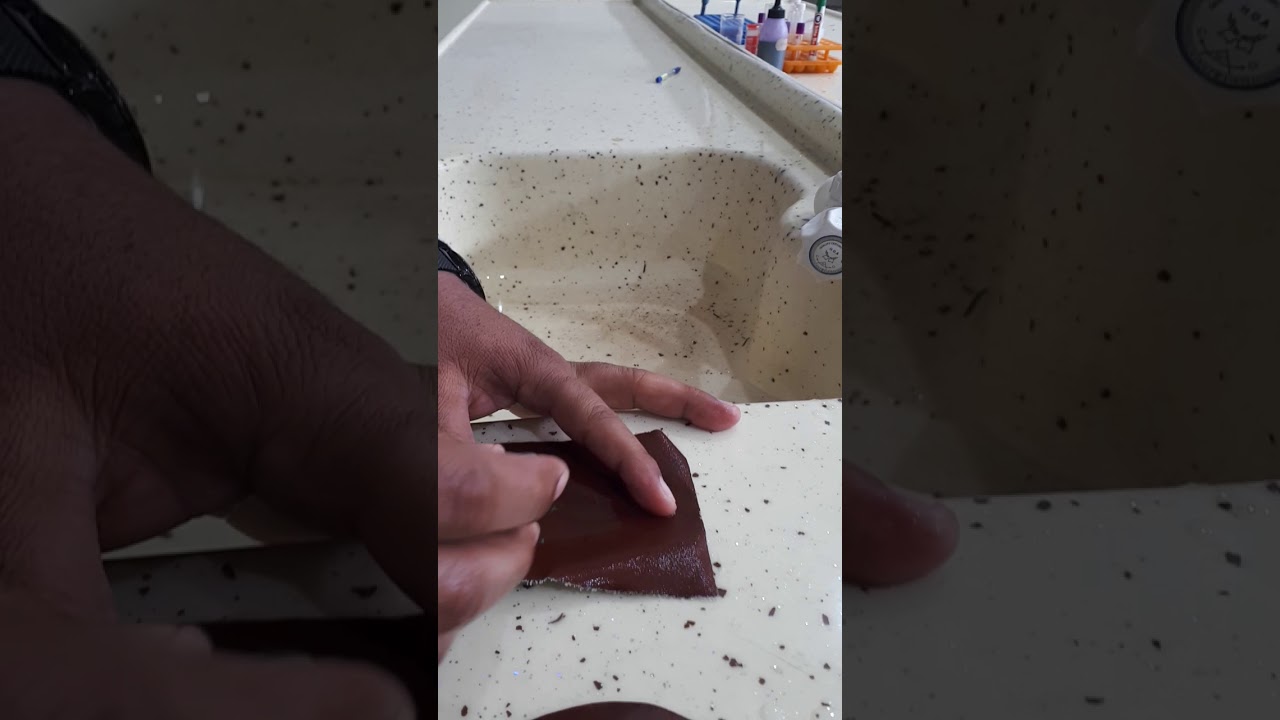 تجربة تحضير عينة للفحص المجهري