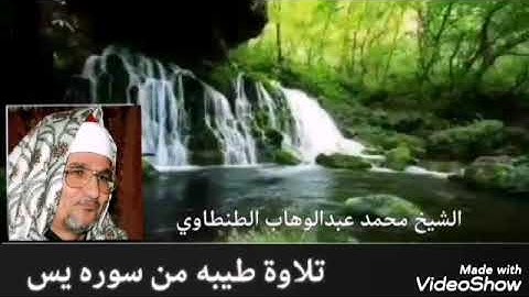 من روائع الشيخ محمد عبدالوهاب الطنطاوي وماتيسر من سوره يس رووووعه