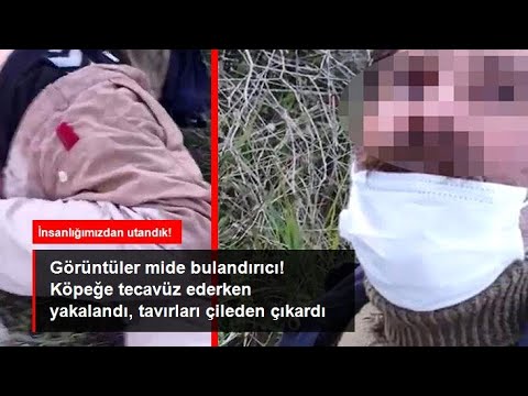 Köpeğe tecavüz ederken yakalandı, hayvanseverler isyan etti: Videoyu izlemeye devam edemedik 20 mart