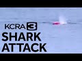 Great White Shark Attacks Kayaker in Monterey Bay, California