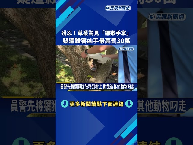 殘忍! 草叢驚見"獼猴手掌" 疑遭殺害凶手最高罰30萬－民視新聞