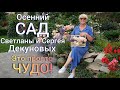 Обзор очень КРАСИВОГО САДА ! + полезные советы. Сад Светланы и Сергея Декуновых .