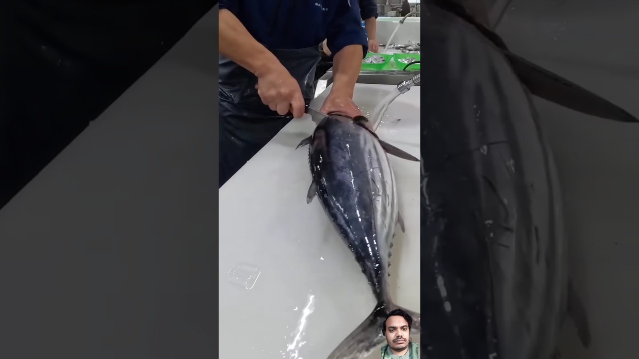 Amazing Tuna Fish Cutting Skills 