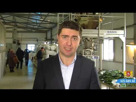 თანამედროვე სტანდარტების შესაბამისი დაფნის საწარმო ჩხოროწყუში