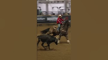 Tyler Wade & Treston Brazile w/ 5.86 sec run in Rd 1 CoJo Championship  #teamroping #roping #rodeo