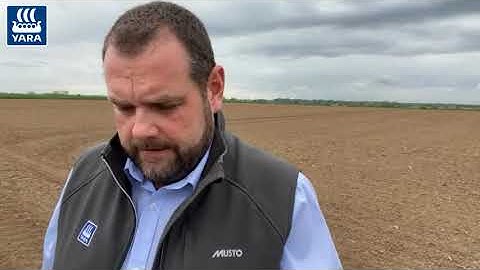 Sugar beet - Recommended best practice after a late start