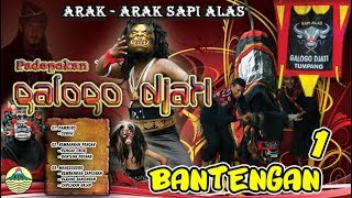 PAMBUKO   PENCAK OBOR - Bantengan  |  Galogo Djati