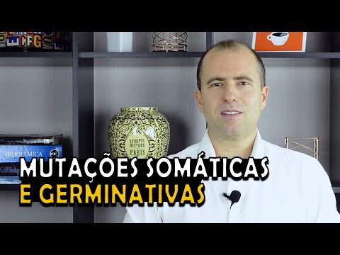 Vídeo: Diferença Entre Variação Somática E Variação Germinativa