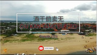 酒矸倘賣無 (Ciu Kan Tang Bue Bo) Female Version - Karaoke mandarin with drone view