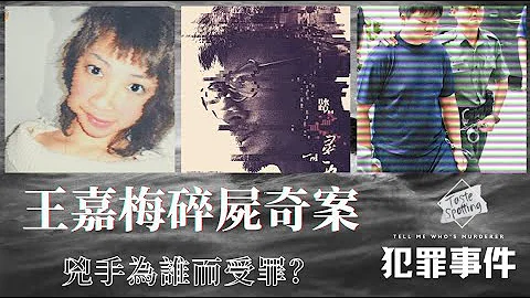 【奇案】王嘉梅碎尸奇案：凶手为谁而受罪？真相并非只有一个 (repost)【犯罪事件】 - 天天要闻