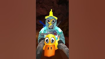 Monkey mayhem!!!!!!!!!!!!!!!!!!!!!!!!!!!!!!!!!!!!!