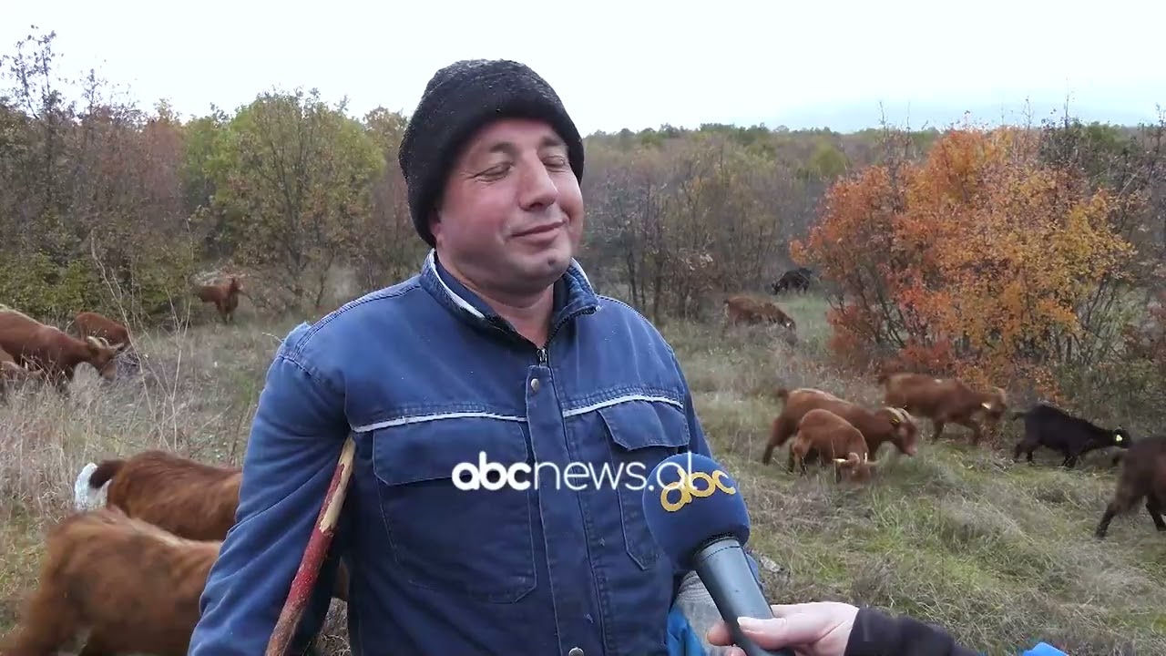 "N'Kufi"/ Nga Vllahën në Planeje, fronti dhe prapavija e UÇK-së | ABC News Albania