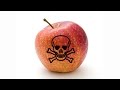 Is There Cyanide In Apple Seeds?