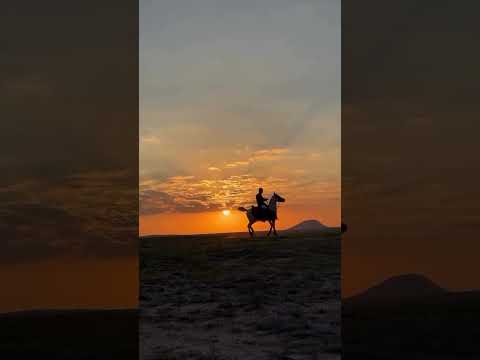 عقيد القوم قوي عزوم