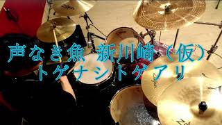 【トゲナシトゲアリ】声なき魚 新川崎（仮）drumcover