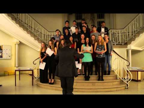 Happy Together Muziekcluster (Examenconcert Stedelijk Gymnasium Leiden 2014)