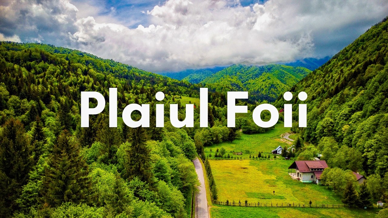 Paradisul Verde de la Poalele Pietrei Craiului | Plaiul Foii | Imagini din Drona