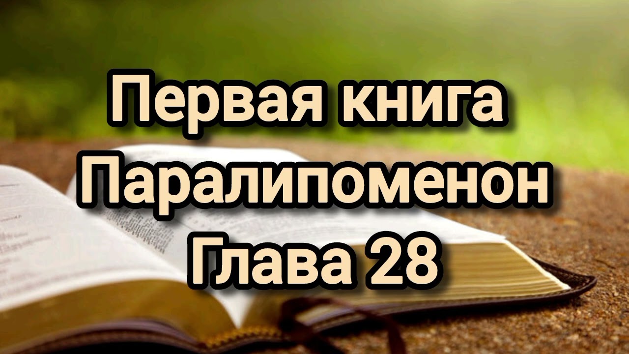 Первая книга Паралипоменон, глава 28