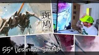 Ikaruga Vertical Monitor Shmup - 55 Bullethell Madness - PC - Steam - Nintendo Switch