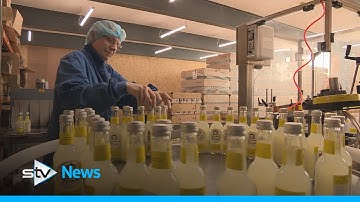 Drinks producers say deposit return scheme could threaten small businesses