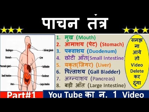 Pachan tantra part#1|पाचन तंत्र|Biolody digestives system|Science|pachan tantra by hi fi study point