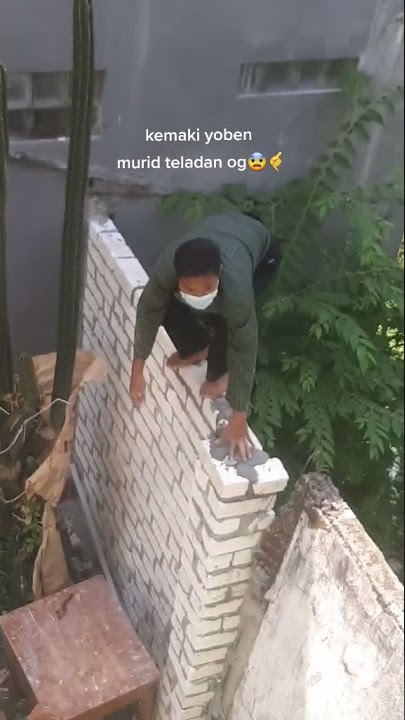 story wa lucu 🤣