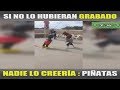 Si no lo hubieran grabado nadie lo creería - piñatas - Solo Humor