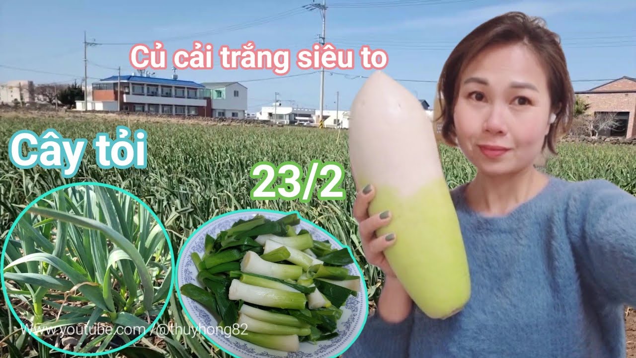 🇰🇷Những món ăn không thế thiếu của Người Hàn Quốc🧄🌶