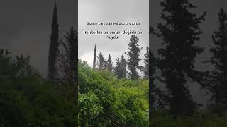 Nankörlük Bir Durum Değildir Huydur Isözler Şfetbeniöneçıkar