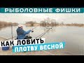 Как ловить плотву весной? С прикормкой или без? Рыболовные фишки!