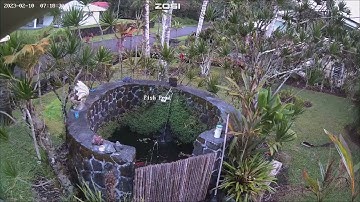 ZOSI  Security Camera System Capture Shared by Loyal User