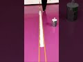 Precision Floor Line Painting for Clean Sharp and Professional Indoor Surfaces #shorts