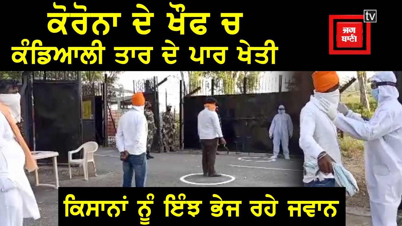 ਕੰਡਿਆਲੀ ਤਾਰ ਦੇ ਪਾਰ ਵਾਢੀ ਲਈ ਜਾਂਦੇ ਕਿਸਾਨ, BSF ਦੇ ਦੇਖੋ ਪ੍ਰਬੰਧ