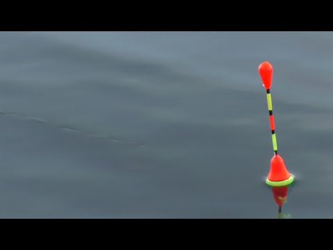 Видео: Поменял место и клев пошел ! Рыбалка в ноябре 2023