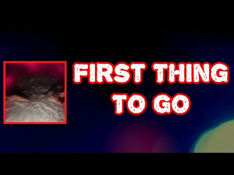Hayley Williams First Thing To Go Lyrics