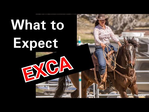 Johnny Flores Horses - Shaping a Bosal There are many different ways to  shape a bosal, this is how I do it. The reason why I try really hard to  open up