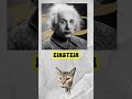 ¿que es la gravedad? #gatos #gravedad #fisica #newton