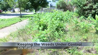 City of La Crosse urges property owners to keep weeds under control