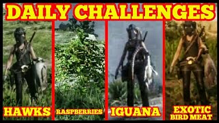 Daily Challenges HAWKS EXOTIC BIRD MEAT RASPBERRIES IGUANA Red Dead Online Daily Challenges HAWKS EXOTIC BIRD MEAT RASPBERRIES IGUANA Red Dead Online