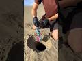 "एक बर्तन… एक बत्ती और जलने लगा ये तरल! 😳🔥 | Science ya Trick?" #shorts