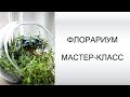 Флорариум своими руками | мастер-класс | GARDEN BOOM