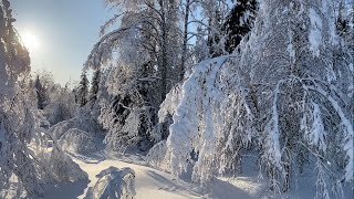 Четырёхдневная поездка на снегоходах Ski-doo, Lynx, Polaris по заснеженной тайге Кузбасса.(часть 3)
