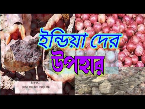 ভিডিও: কোন বুনো একটি বন্য পাথর আবরণ