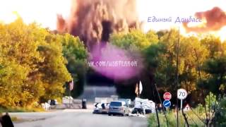 WEBTERROR 105