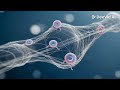 A Biological Functional Hybrid Scaffold | 115-MSE-Introduction to Polymer Materials | NTHU